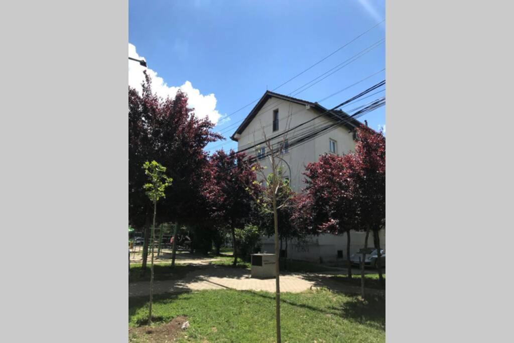Cozy Apartment In The Old Center Of Prishtina Priștina Exterior foto